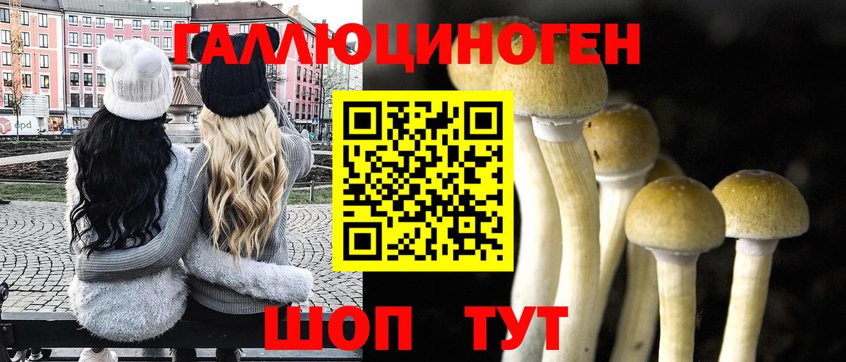 где купить наркоту  Псилоцибиновые грибы мицелий  Вход с VPN  Псилоцибиновые грибы Cubensis  Юрга 